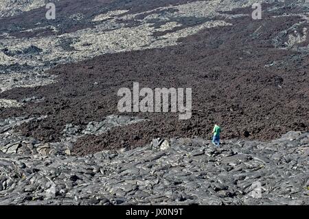 Paesaggio lungo la catena di crateri Road nel Parco nazionale Vulcani delle Hawaii Foto Stock