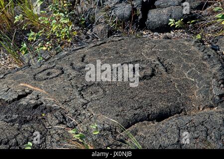 Paesaggio lungo la catena di crateri Road nel Parco nazionale Vulcani delle Hawaii Foto Stock