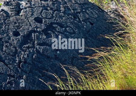 Paesaggio lungo la catena di crateri Road nel Parco nazionale Vulcani delle Hawaii Foto Stock