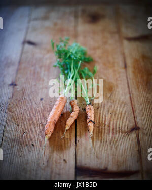 Cresciuto in casa baby carote sul tavolo della cucina Foto Stock