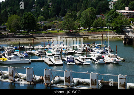 Un Marina con yacht privato ,Cabinati e barche di lusso a baia a ferro di cavallo nei pressi di Traghetti BC Ferry Terminal in British Columbia Canada Foto Stock