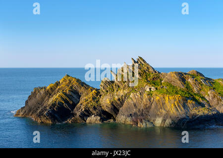 Cappella Rock, scogliere sulla costa a Polperro, Cornwall, England, Regno Unito Foto Stock