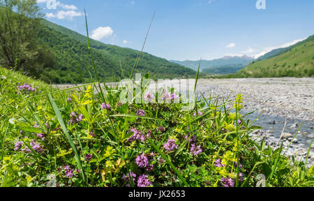 Valle del fiume Aragvi. I pendii della valle ricoperta da erba. Sullo sfondo sono visibili in luce le montagne di nebbia Foto Stock