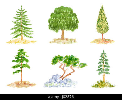 Set di carino di latifoglie e conifere, acquerello disegnata a mano e dipinte, isolato su bianco Foto Stock