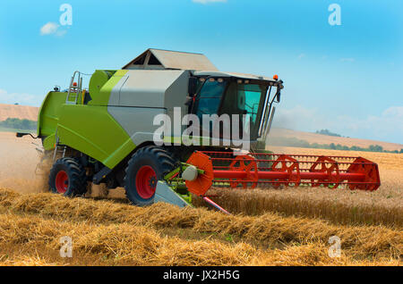 Macchina trebbiatrice per il raccolto del frumento di lavoro nel campo. Agricoltura Foto Stock