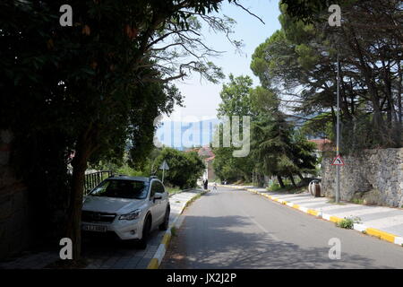 La visualizzazione e la vista del Bosforo e da crociera sul Bosforo al giorno, Istanbul, Turchia Foto Stock