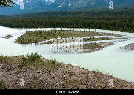 Il bellissimo Fiume Athabasca e Valle nel Parco Nazionale di Jasper Alberta Canada Foto Stock