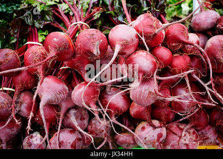 Telaio completo di carni una piccola barbabietola rossa di barbabietole Foto Stock