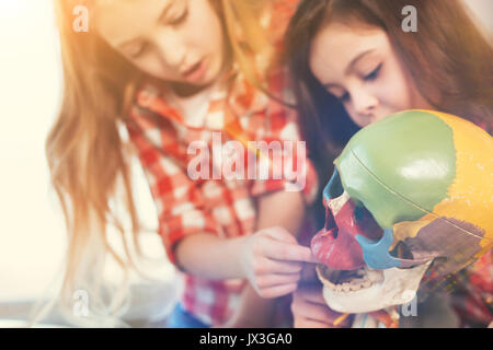 Ragazze Infatuated toccando testa artificiale Foto Stock