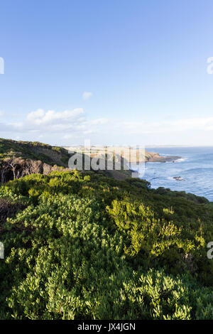 Viste spettacolari lungo la costa e oltre Bass Strait a Cape Woolamai Riserva Naturale, Victoria, Australia Foto Stock