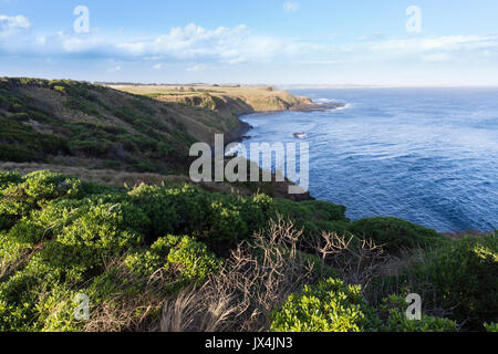 Viste spettacolari lungo la costa e oltre Bass Strait a Cape Woolamai Riserva Naturale, Victoria, Australia Foto Stock