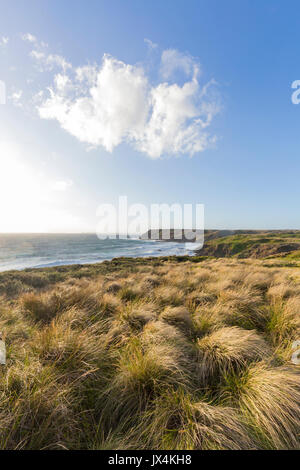 Viste spettacolari lungo la costa e oltre Bass Strait a Cape Woolamai Riserva Naturale, Victoria, Australia Foto Stock