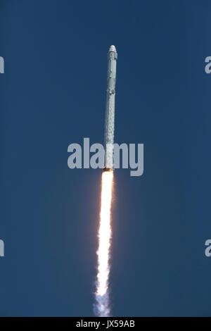 Cape Canaveral, in Florida, Stati Uniti d'America. 14 Agosto, 2017. La SpaceX Falcon 9 a razzo con il Drago a bordo veicolo spaziale di blasti fuori dal complesso di lancio 39A al Kennedy Space Center il 14 agosto 2017 a Cape Canaveral, in Florida. Drago è il dodicesimo rialimentazione missione usando il razzo Falcon e trasporta 6.400 libbre di scienza ricerca, equipaggio di materiali di consumo e di hardware per la Stazione Spaziale Internazionale. Credito: Planetpix/Alamy Live News Foto Stock