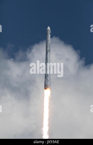 Cape Canaveral, in Florida, Stati Uniti d'America. 14 Agosto, 2017. La SpaceX Falcon 9 a razzo con il Drago a bordo veicolo spaziale di blasti fuori dal complesso di lancio 39A al Kennedy Space Center il 14 agosto 2017 a Cape Canaveral, in Florida. Drago è il dodicesimo rialimentazione missione usando il razzo Falcon e trasporta 6.400 libbre di scienza ricerca, equipaggio di materiali di consumo e di hardware per la Stazione Spaziale Internazionale. Credito: Planetpix/Alamy Live News Foto Stock