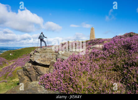 Escursionista sul modo di Cleveland vicino a Captain Cook monumento su Easby Moor, North York Moors National Park, England, Regno Unito Foto Stock