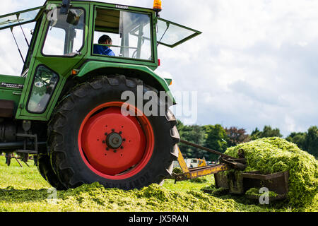 Trattore in erba Foto Stock