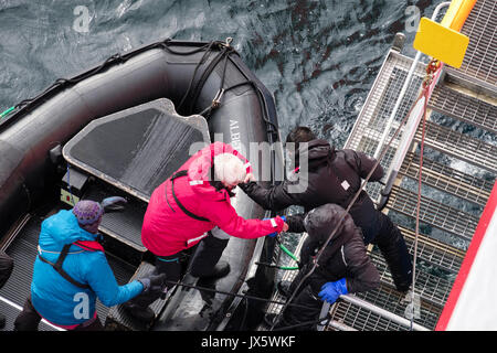 G avventure Expedition nave da crociera passeggero viene aiutata da un gommone Zodiac torna a bordo dell'equipaggio utilizzando una presa dei marinai. Norvegia e Scandinavia Foto Stock
