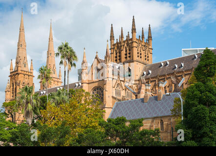 La Cattedrale di St Mary College Street, Sydney, Nuovo Galles del Sud, NSW, Australia. Foto Stock
