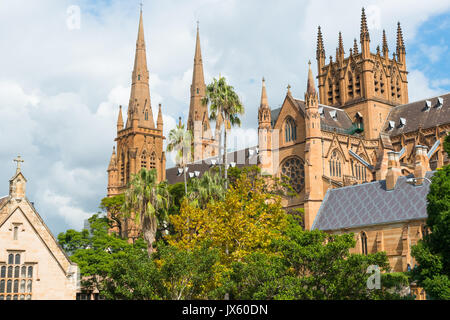 La Cattedrale di St Mary College Street, Sydney, Nuovo Galles del Sud, NSW, Australia. Foto Stock
