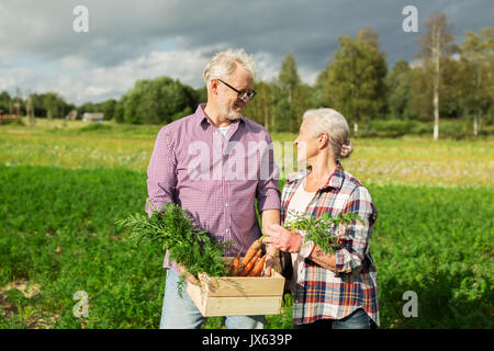 Coppia senior con scatola di carote in agriturismo Foto Stock