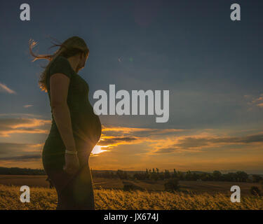 Donna incinta silhouette durante la maternità shoot Foto Stock