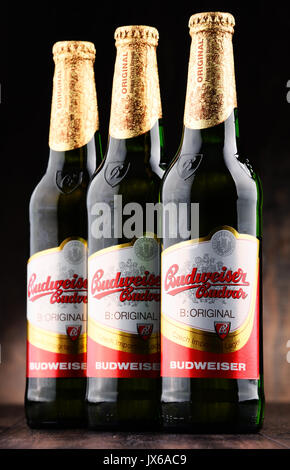 POZNAN, Polonia - 2 giugno 2017: Budweiser Budvar ha uno dei più alti la vendita di birre nella Repubblica Ceca sono esportati in più di 60 paesi, prodotta in C Foto Stock