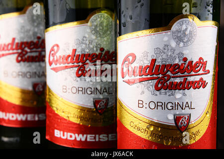 POZNAN, Polonia - 2 giugno 2017: Budweiser Budvar ha uno dei più alti la vendita di birre nella Repubblica Ceca sono esportati in più di 60 paesi, prodotta in C Foto Stock