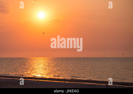 Bellissima alba drammatica con fiery sun, nuvole ,gabbiani oltre il mare calmo o acqua oceanica. Mattina presto Foto Stock