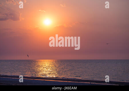 Bellissima alba drammatica con fiery sun, nuvole ,gabbiani oltre il mare calmo o acqua oceanica. Mattina presto Foto Stock