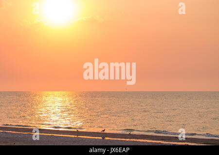 Bellissima alba drammatica con fiery sun, nuvole ,gabbiani oltre il mare calmo o acqua oceanica. Mattina presto Foto Stock