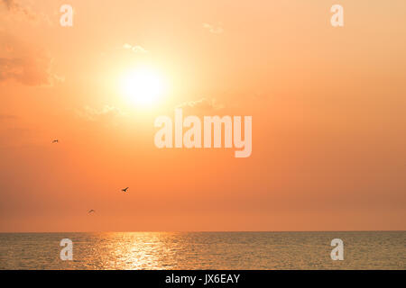 Bellissima alba drammatica con fiery sun, nuvole ,gabbiani oltre il mare calmo o acqua oceanica. Mattina presto Foto Stock