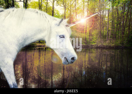 Unicorn pronto per bere acqua naturale da deep forest Foto Stock