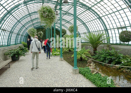 Vista interna di Laeken Serre Reali del Castello Reale di Laeken Bruxelles, Belgio DSC07186 Foto Stock