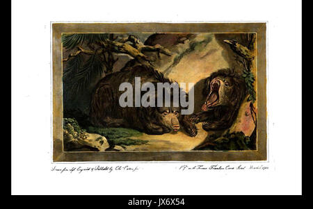 10, animale dell'Orso tipo, Charles Catton degli animali (1788) Foto Stock