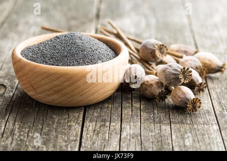 Essiccato teste di papavero e semi. Papavero blu. Foto Stock