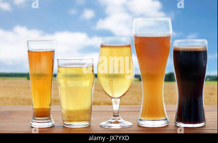 Diversi tipi di bicchieri da birra su campo di cereali Foto Stock