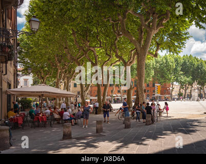 Le persone a rilassarsi all'ombra dei platani sulla Piazza Napoleone di una piccola città italiana di Lucca in Italia Foto Stock