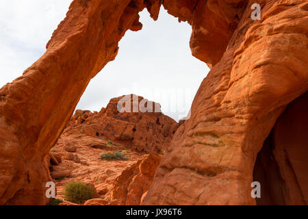 Elephant Rock della Valle di Fire State Park, Stati Uniti d'America. Foto Stock