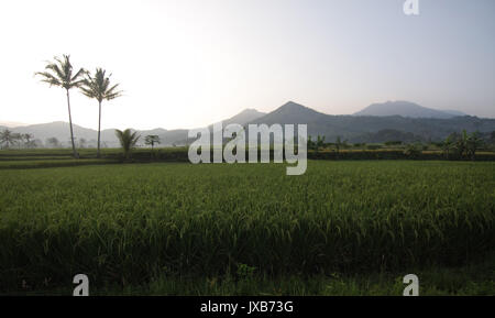 Indonesia arcipelago, Indonesia, Asia, montagna Foto Stock