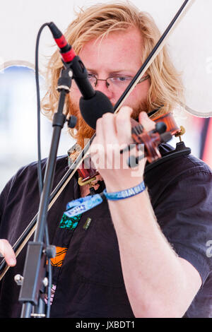 Maschio caucasico violinista giocando. Rivolta verso la faccia parzialmente coperto da un microfono. L'uomo, 20s, i capelli biondi e gli occhiali e la barba. Gator cane lutiani jazz band. Foto Stock