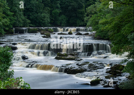 Famoso Aysgarth Falls cascata (Upper Falls) vicino Hawes, Yorkshire Dales National Park, England, Regno Unito Foto Stock