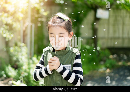 Bambino soffia un dente di leone in un parco Foto Stock