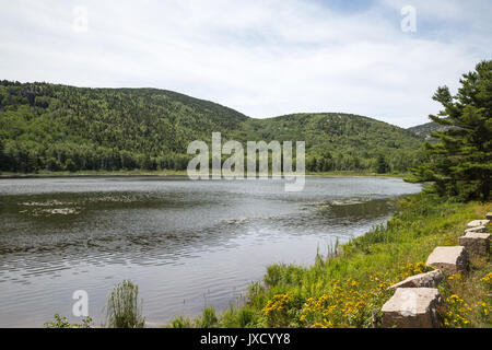 Beaver Dam stagno nel parco nazionale di Acadia nel Maine Foto Stock