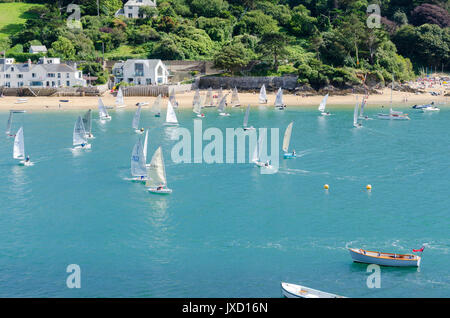 Solos barche racing in Salcombe estuario durante Salcombe Yacht Club Settimana di Regata Foto Stock