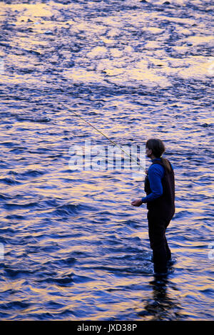 Pesca a mosca nel fiume Yakima, Yakima River Canyon Scenic e autostrada ricreative, Washington Foto Stock