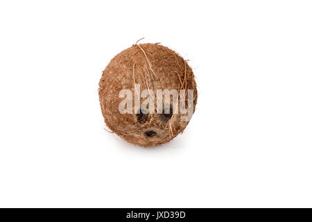 Noce di cocco intero isolato su sfondo purewhite Foto Stock