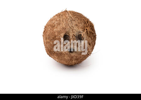 Noce di cocco intero isolato su sfondo purewhite Foto Stock