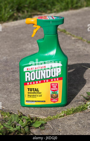 ROUNDUP azione veloce con erbicida glifosfato dalla Monsanto. Foto Stock