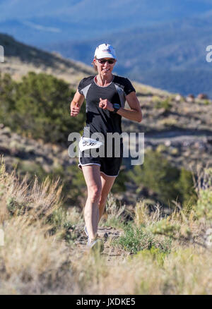 Femminile di competere nel Festival Fibark trail run; Salida; Colorado; USA Foto Stock