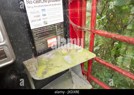 Fermanagh,UK, in disuso Telefono Rosso Box coperti con Gossamer,Seta Bonzo credito/Alamy.com Foto Stock